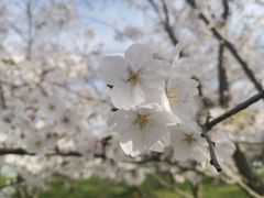 -苏州上方山国家森林公园