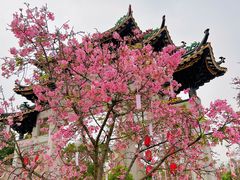 -宝墨园景区