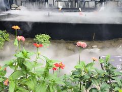 -蘇河湾·新鲁菜·泰山宴(泰山店)