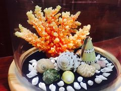 -青岛贝壳博物馆