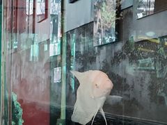 -老三羊汤【北兴隆街店】