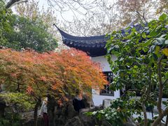 -秋霞圃