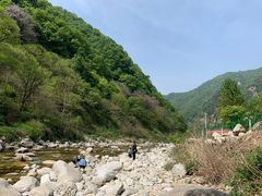 -沣峪口