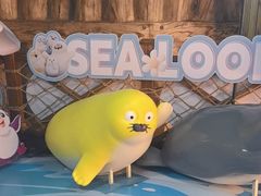 -海合安青岛极地海洋公园