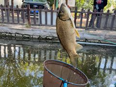 -酷鱼垂钓CLUB(朝阳区博大路店 )