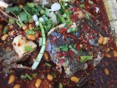 -风鑫铃罗非鱼(道沟店)