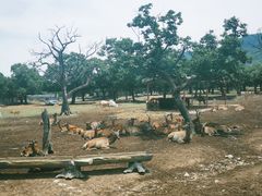 -西安秦岭野生动物园