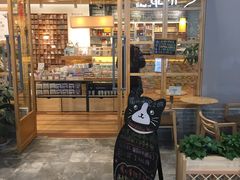 -猫的天空之城概念书店(印象城购物中心店)