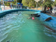 -北戴河圣蓝海洋公园