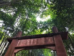 -凤栖山