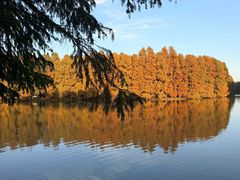 -上海海湾国家森林公园