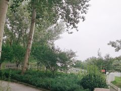 -北京鸿华高尔夫练习场