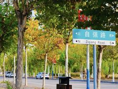 -华北理工大学(曹妃甸校区)