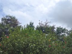 -大雁山风景区