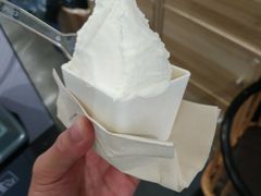 -野人先生现做冰淇淋(北京顺义祥云小镇店)