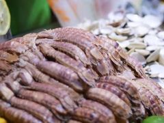 -盛宴标帜西餐厅龙虾.鲍鱼•牛排(重庆喜来登大酒店)