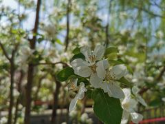 -元大都城垣遗址公园