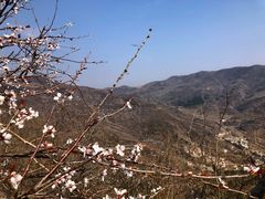 -妙峰山风景名胜区