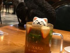 -猫小院猫主题餐厅(三里屯店)