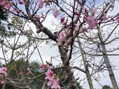 -聚龙山公园