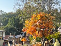 -HERRE·FARM 赫尔露营农场·团建聚会包场