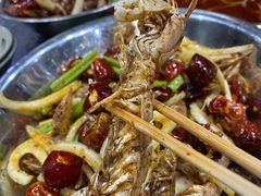 麻辣虾爬子-辣盆盆麻辣小龙虾(哈尔滨总店)
