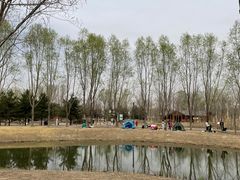 -东郊湿地公园