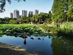 -昆山城市公园
