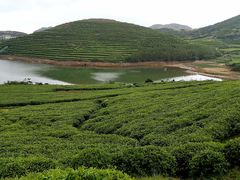-嵛山岛