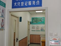 -瑞派雷欧宠物医院·24h夜诊·心脏骨科牙科·全科重症转诊中心(无影山店)