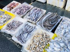 -芦潮港集贸市场