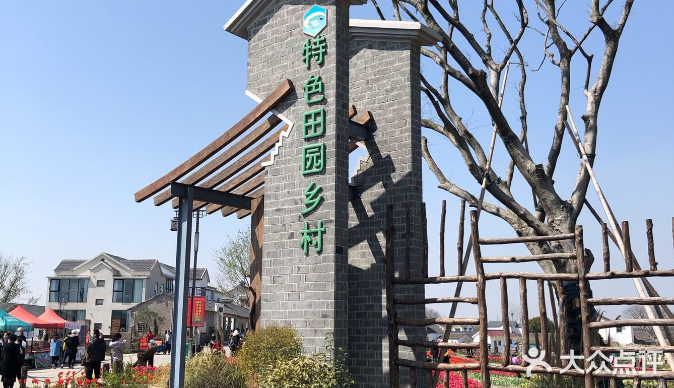 当然该到谷里去赏花了江宁谷里的徐家院村油菜花已然盛开