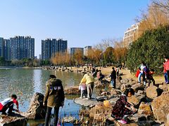 -南翔镇银翔湖公园