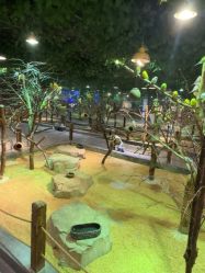 -酷嗒动物文化乐园(cutezoo西溪乐天城店)