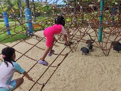 -三亚亚龙湾天域度假酒店