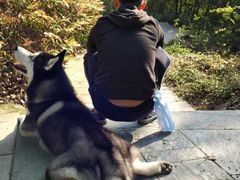 -燕晗山郊野公园