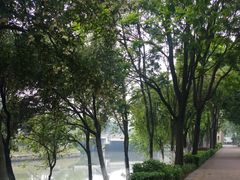 -怡海公园(桂城街道)