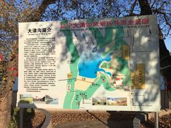 -大青沟风景区