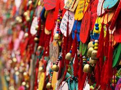 -西双版纳原始森林公园