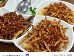 昆虫拼盘-园林美食城·本土农家菜(杨和镇店)