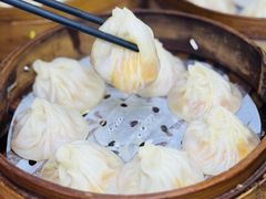 -莱莱小笼·乔艾