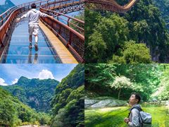 -少华山国家森林公园