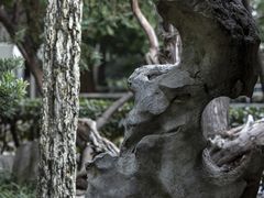 -复旦大学附属华山医院(总院)