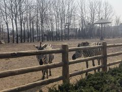 -大连森林动物园