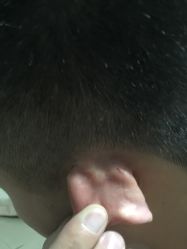 -侨治发型