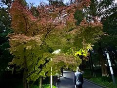 -苏州河梦清园环保主题公园