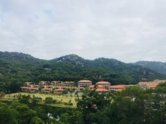 -厦门国家会计学院