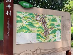 -阿巧茶庄