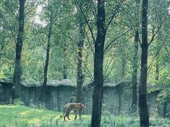 -北京野生动物园