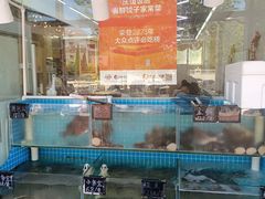 -北戴河庆山饭店·海鲜砂锅粥(北戴河黑石路店)